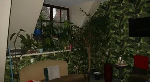 Hostel Universus - Image 5