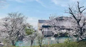 ソフィアハウス横浜 -シェアハウス- Sophia House Yokohama - Share House - Image 5