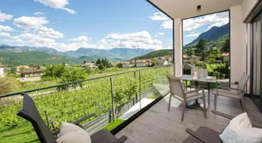 Haus Gregori Modern & Central Stay in Vineyard with Rooftop & Served Breakfast - Image 3