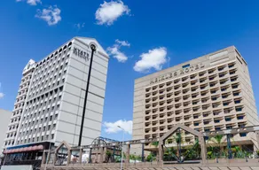 Hyatt Regency Harare The Meikles - Image 4