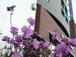 Kuretake Inn Asahikawa - Image 5