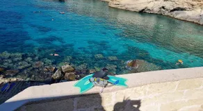 Dasylirion Vacanze - Image 5