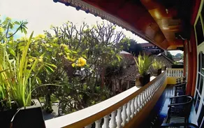 Surf Doggie Inn - Image 5