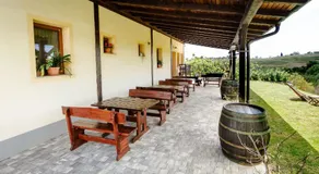 Zelena Oaza - B&B - Image 5