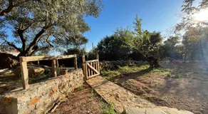 Petres old village house - Image 4