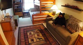 Fireside Lodge #409 - Image 2
