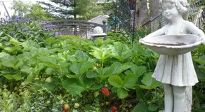 Hanover House Bed and Breakfast - Image 4
