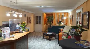 Hotel-Pension Grüne Linde - Image 3