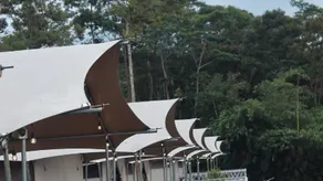 Dmangku Farm Mancak Serang - Image 3