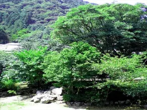 Nanadaru-Onsen Togenoyu Ooyasou - Image 4