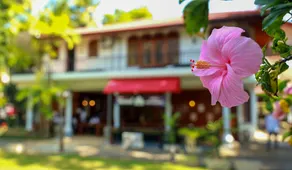 Wisdom Boutique Resort - Image 4