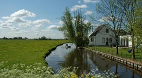 Amsterdam Farmland - Image 5