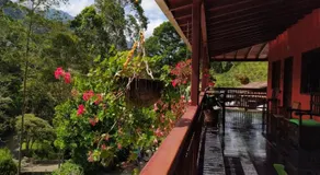 Hotel Orillas del Pizano - Image 5