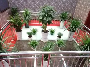 Fengjie Jinxuan Business Hotel - Image 3