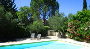 Les Olives - Image 4