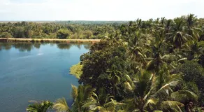 Splendid Lake View Safari Lodge - Image 4