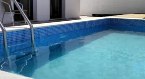 Paradise Breeze - Image 5