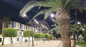 Perla del mar - Image 5