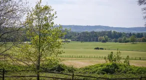 Cowdray Lodge B&B rooms - Image 3