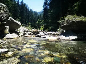 The Himalayan Heaven - Image 3