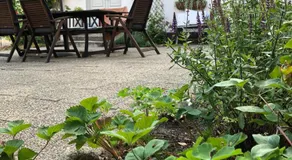 Karlsborg Rum och Frukost - Image 5