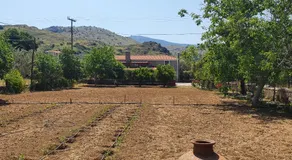 Sun House Apartments in Eftalou - Image 3