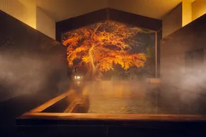 Hoshino Resorts KAI Hakone - Image 3