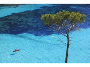 La Petite Calanque - Image 5