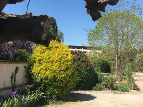 Les jardins du grand selve - Image 4