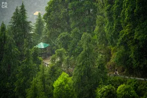 LiveAway Dharamkot by PACK - Image 3