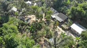 Tereng Wilis Jungle Inn - Image 2