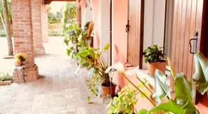 Red Fenice - Image 4
