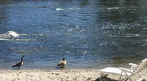 River's Edge Lodge - Image 4