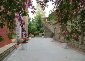 Visco Resorts - Image 5
