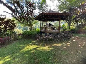 Camp de Katarina - Image 2