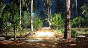 Dhani Nature Stay - Image 5