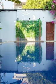 Pineapple Hostel - Image 4