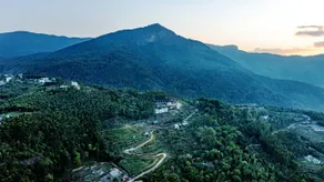 Georgian Homestay, Kanthalloor - Image 5