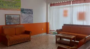 Palmas - Image 5