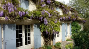 Les Jardins de Camelot - Image 3