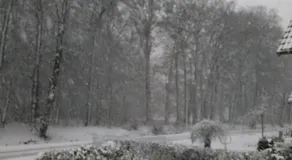Anna's B&B Rijssen - Image 5