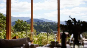 Pandora - Yarra Valley - Image 3