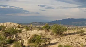 Proyecto tour yuma tatacoa - Image 5