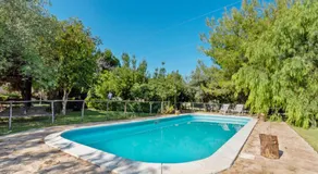 Agriturismo Terra Di Pace - Image 4