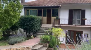 Casa Sisù-Appartamento immerso negli ulivi - Image 3