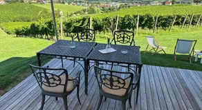 Wine Grower's Mansion Zlati Gric - Image 2