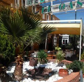 Hotel El Oasis - Image 4