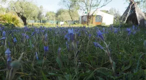 Tiny house natura - Image 4