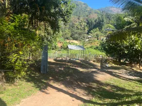 Avondale Luxury Cottages - Image 5