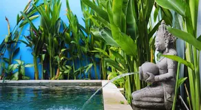 Peacock Private Pool Villa, self check-in, Workspace, Kitchen - Image 4